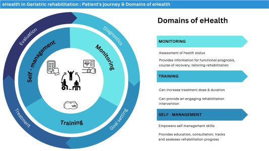 Image eHealth in geriatric rehabilitation: an international consensus study